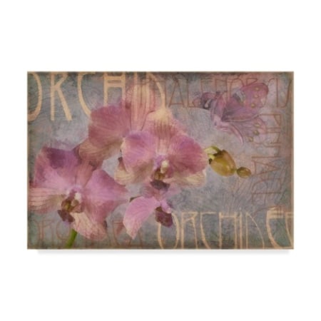 Cora Niele 'Orchid I' Canvas Art,12x19